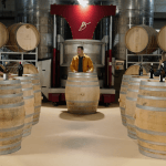Episode 6 - Die Top 3 Word Aangekondig! illustrated by the contestants and host standing around wine barrels during the recording